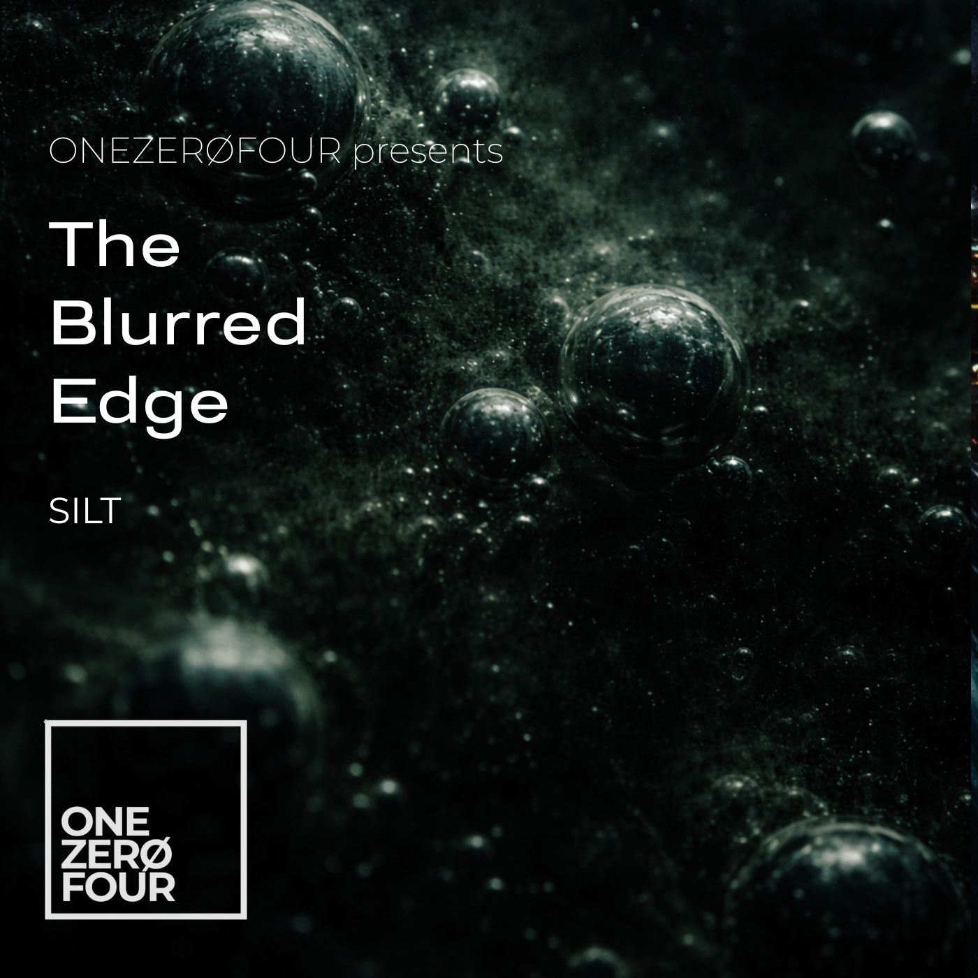 Silt cover art