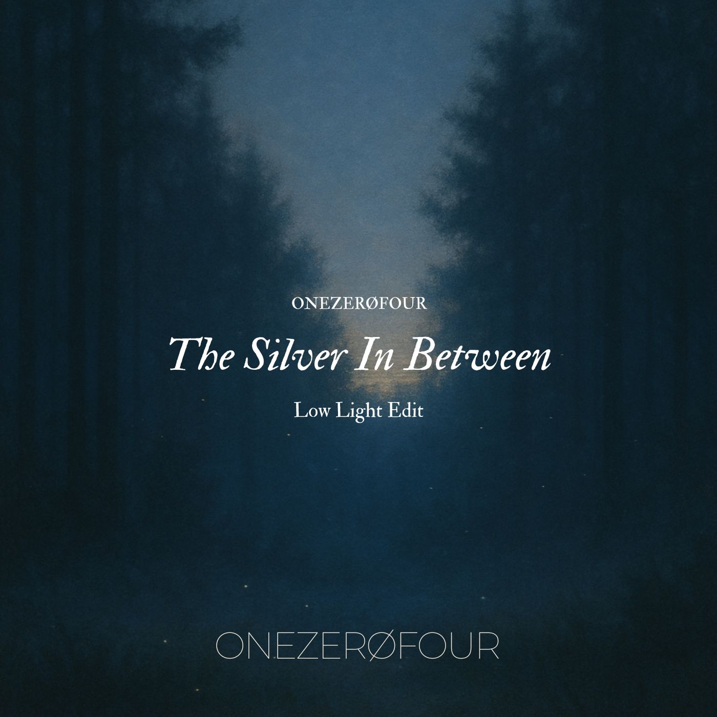 The Silver In Between (Low Light edit) artwork